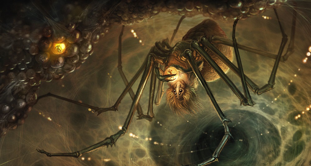 A Primordial Spider.